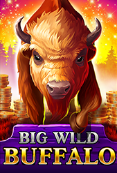 Big Wild Buffalo
