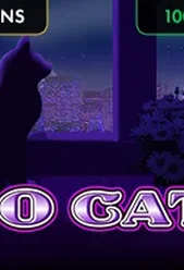 100 Cats
