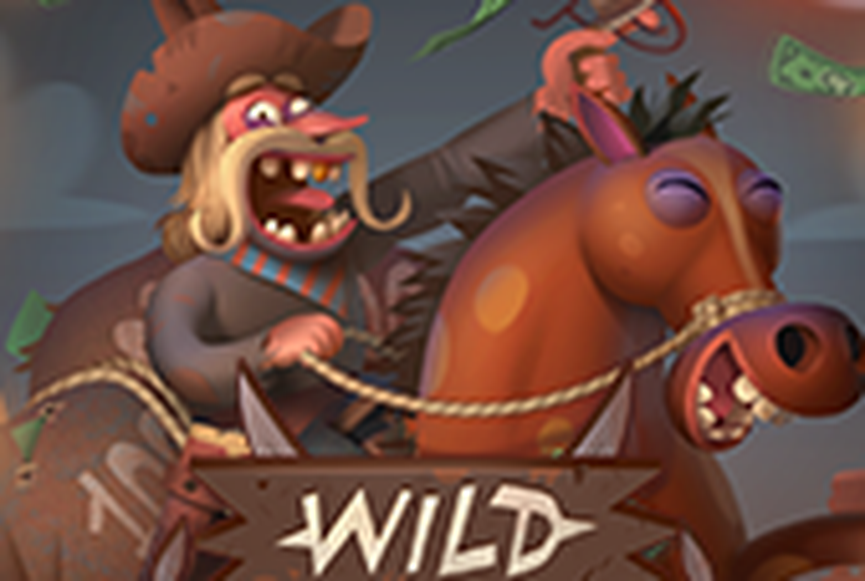 Wild Duel