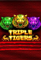 Triple Tigers