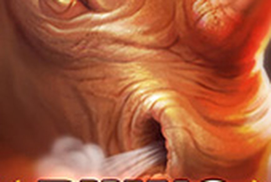 Rhino Hold and Win