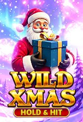 Wild Xmas -  Hold & Hit