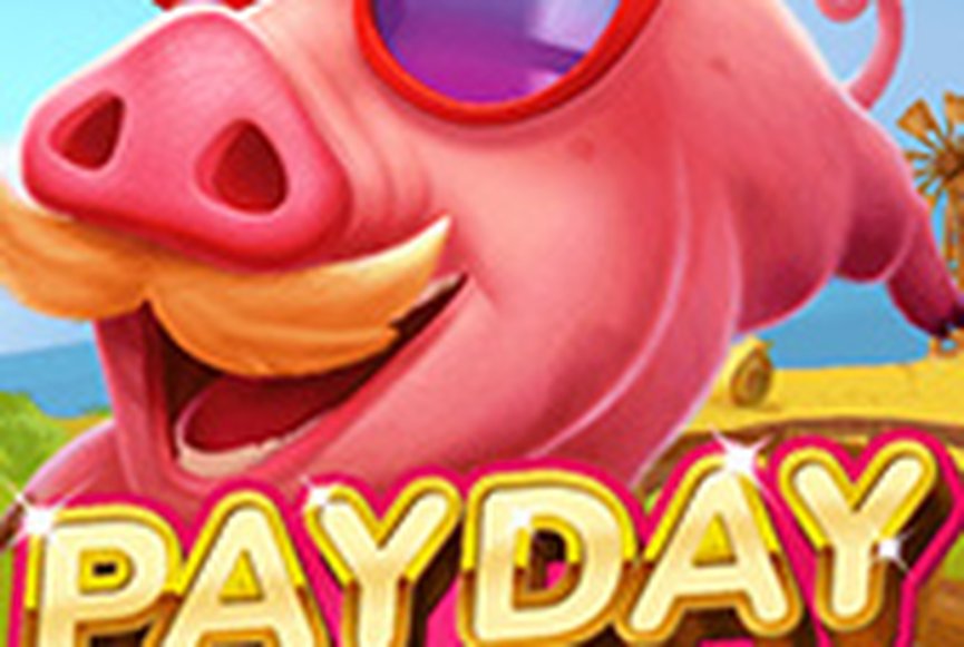 Payday Pig