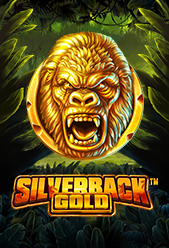 Blackjack Silver D