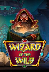 Wizard of the Wild