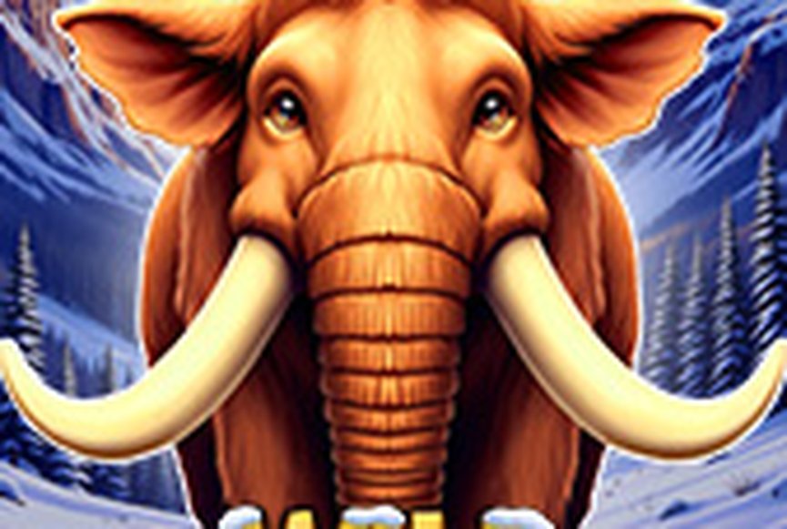Wild Mammoth