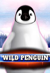 Wild Penguin