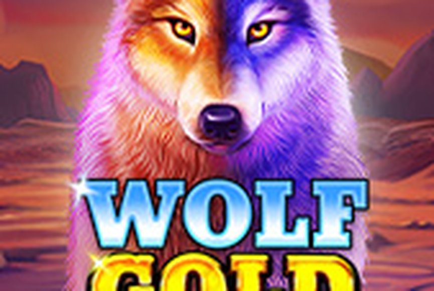 Wolf Gold 4 Pack