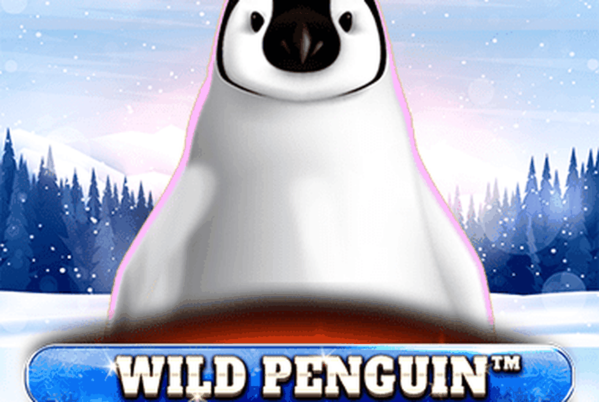 Wild Penguin