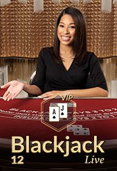 Blackjack VIP 12
