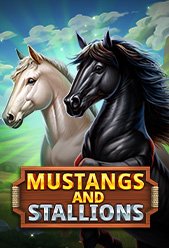 Mustangs and Stallions