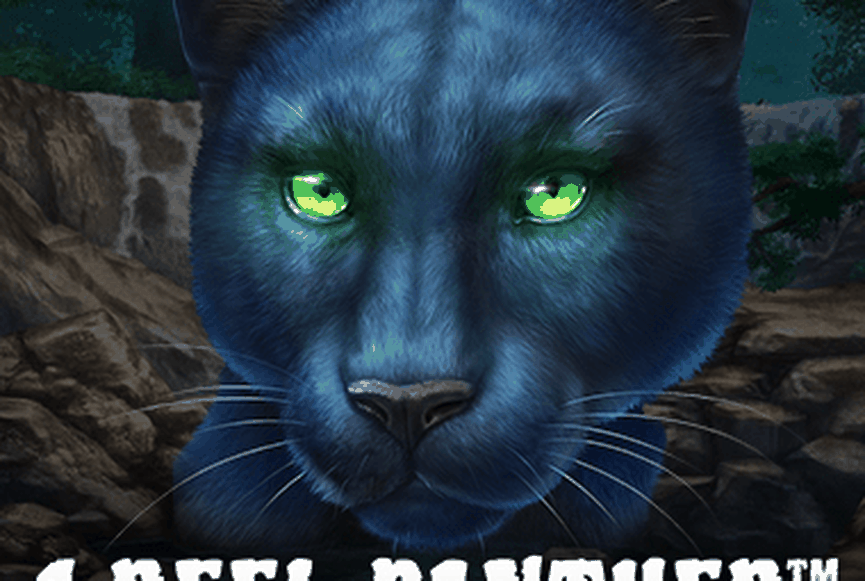 1 Reel Panther