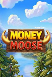 Money Moose