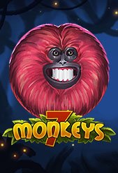 7 Monkeys