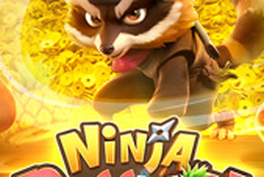 Ninja Raccoon Frenzy