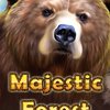 Majestic Forest