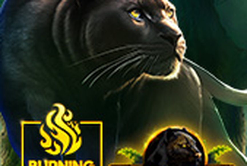 Mighty Wild™: Panther Gold Burning Board™