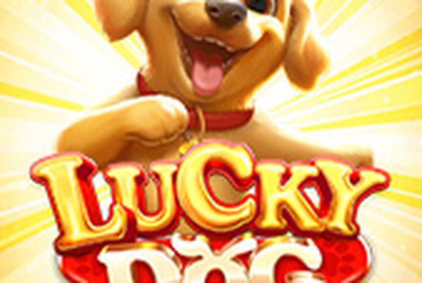 Lucky Dog