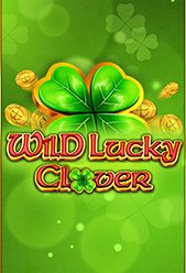 Wild Lucky Clover