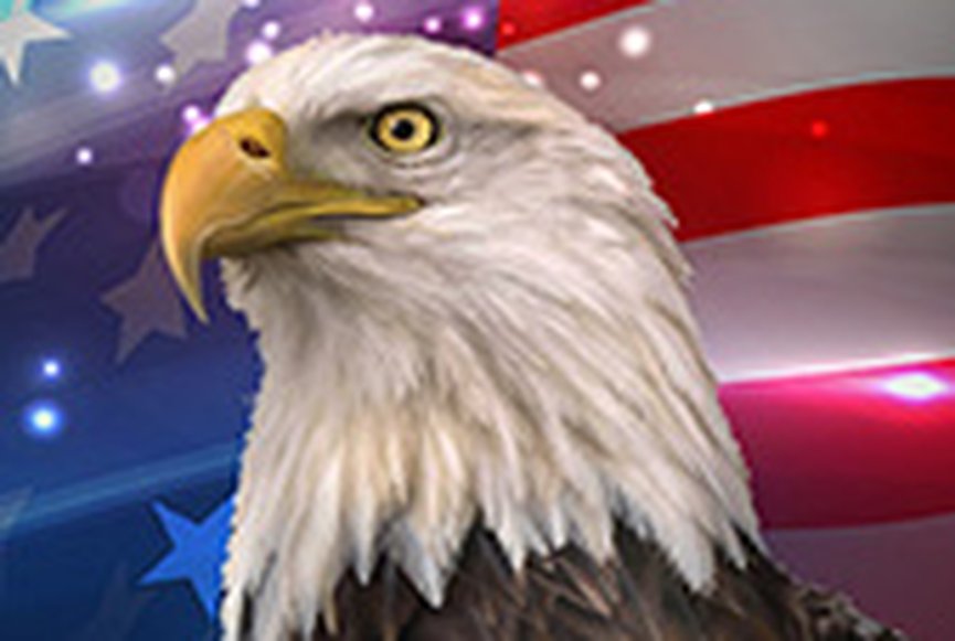 American Poker Gold