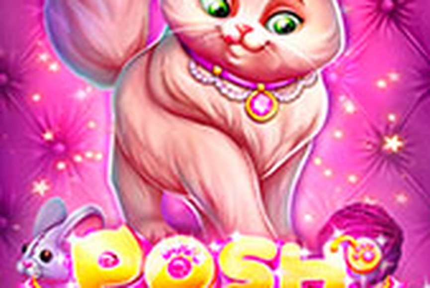 Posh Cats