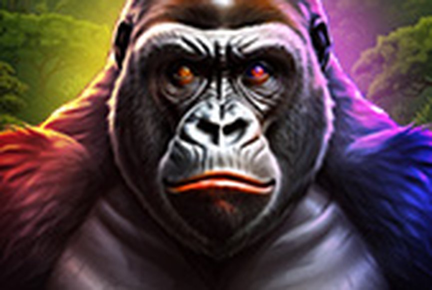 1 Reel - Gorilla Fury