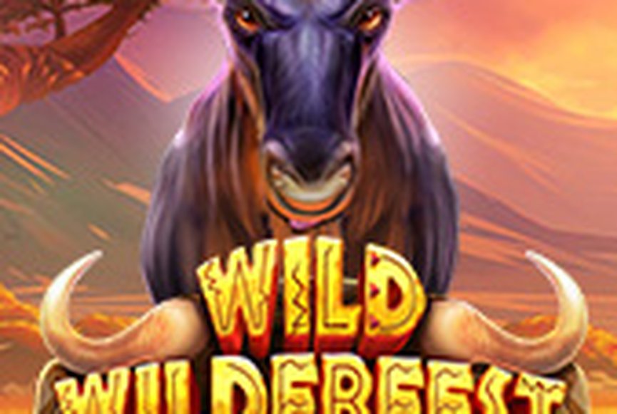 Wild Wildebeest Wins