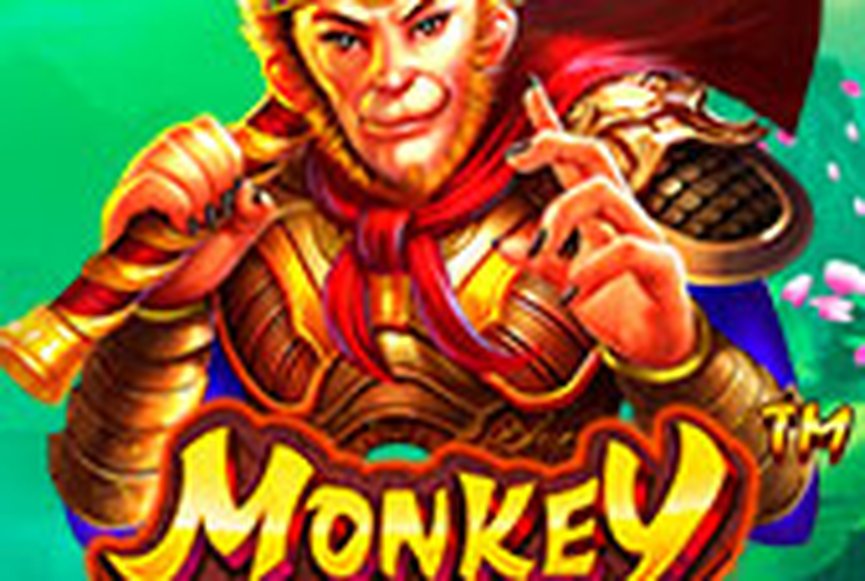 Monkey Warrior