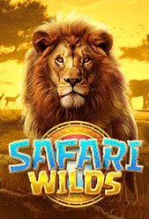 Safari Wilds