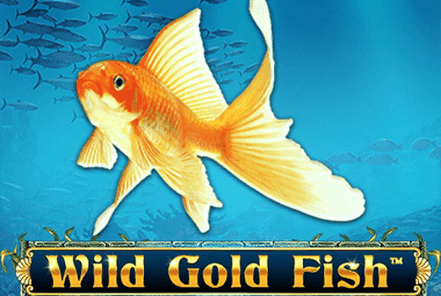 Wild Gold Fish