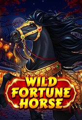 Wild Fortune Horse