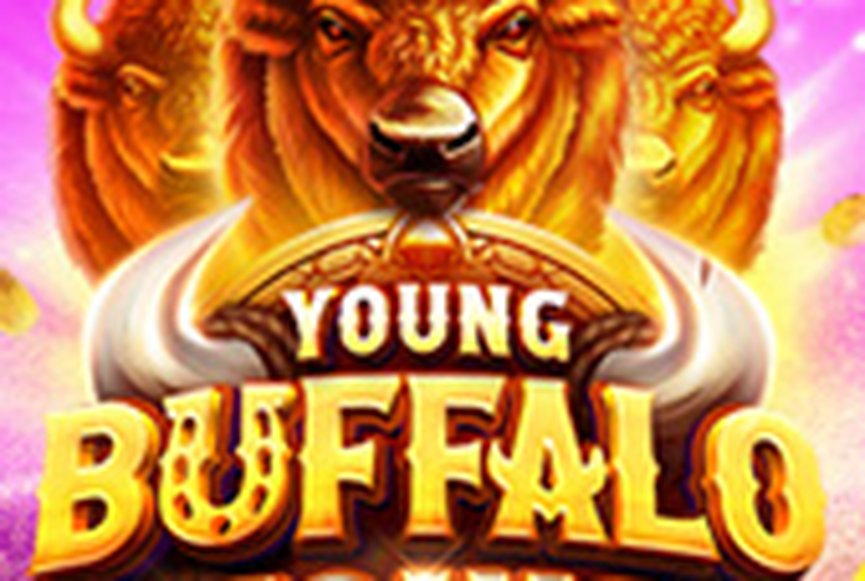 Young Buffalo Coins