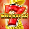 Wild Hot 40