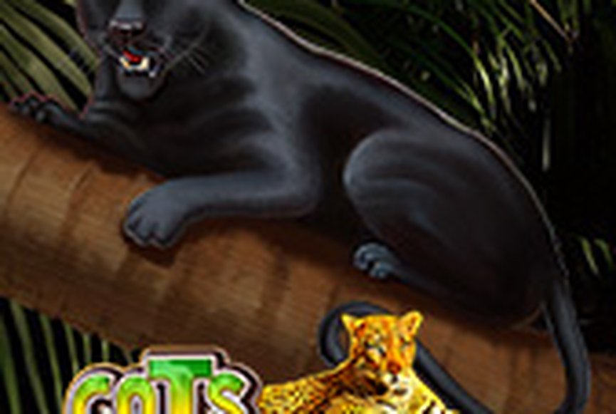 Cats Royal