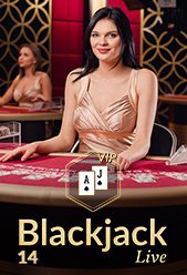 Blackjack VIP 14