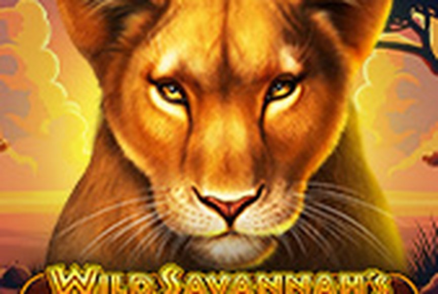 Wild Savannah's Queen