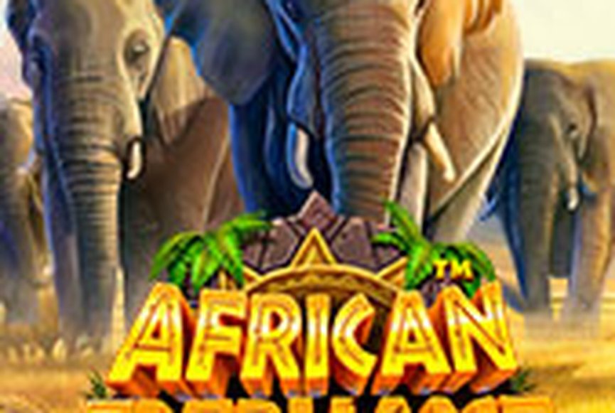 African Elephant™