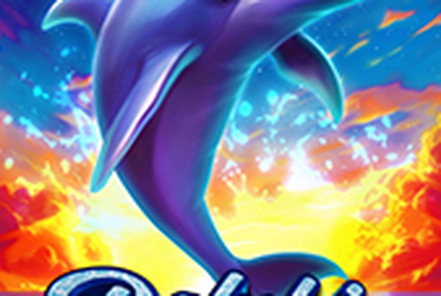 Dolphin Hot 1