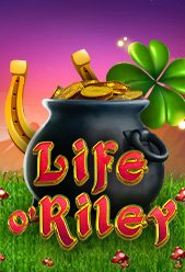 Life O’Riley