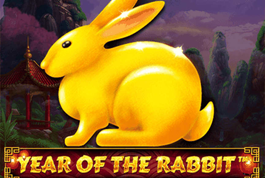 Year of the Rabbit