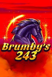 Brumby's 243