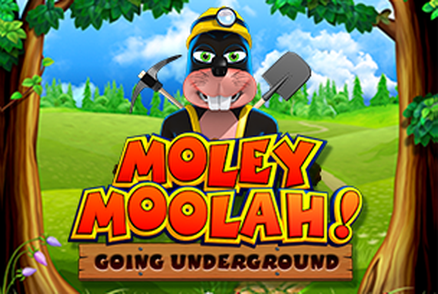 Moley Moolah