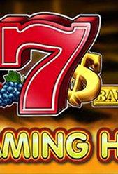 Flaming Hot 6 Reels