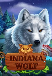 Indiana Wolf