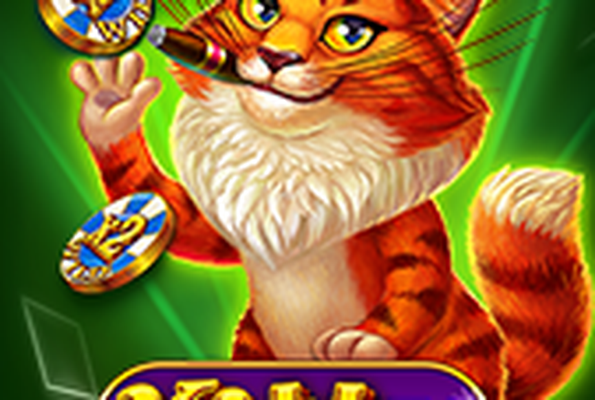 Kitty Bet