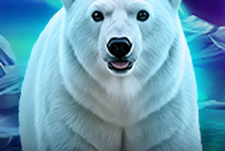 Majestic Polar Bear