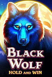 Black Wolf