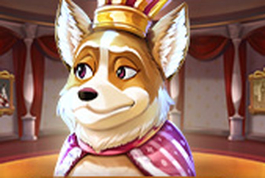 Doggy Riches Megaways