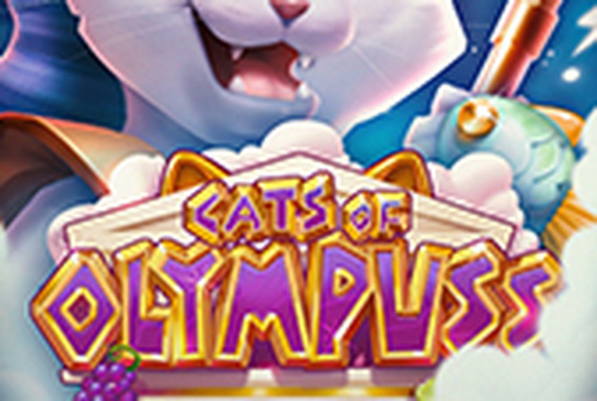 Cats of Olympuss