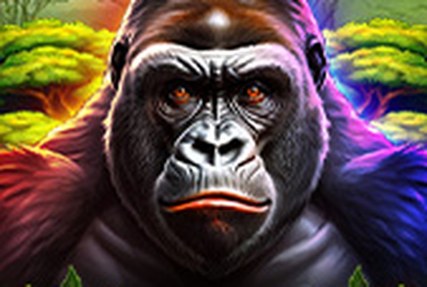 Gorilla Fury - Hold & Hit